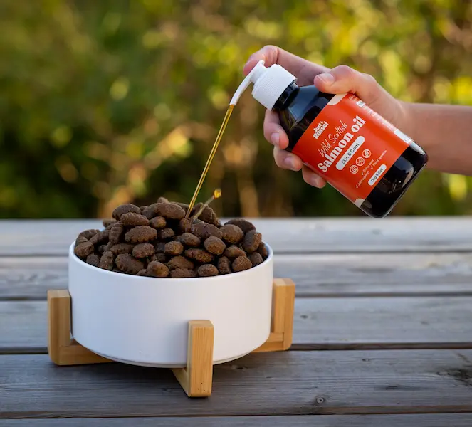 Huile de saumon pour chien versée sur des croquettes, idéale pour renforcer l’immunité et améliorer la peau et le pelage grâce aux bienfaits de l’huile de saumon.