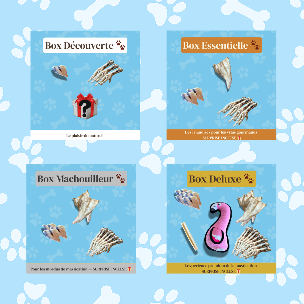 Présentation des quatre box de mastication chien : Box Découverte, Box Essentielle, Box Machouilleur et Box Deluxe — des coffrets de friandises naturelles favorisant la mastication naturelle et le bien-être du chien.