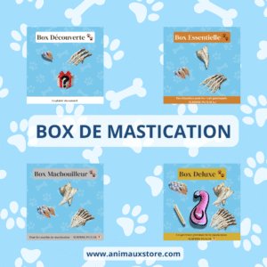 Image illustrant les quatre box de mastication Animaux Store – Box Découverte, Essentielle, Machouilleur et Deluxe – dédiées aux friandises naturelles pour chien.