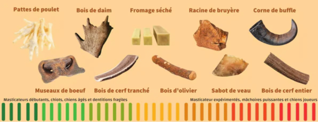 Comparatif visuel des produits de mastication chien selon la puissance de mâchoire : pattes de poulet, museaux de bœuf, bois de cerf, racine de bruyère, corne de buffle et autres mastications naturelles.