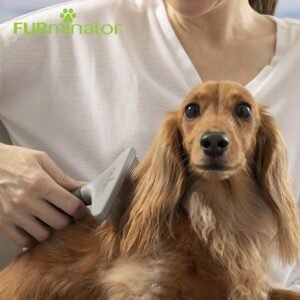 Brosse Furminator utilisée sur un chien à poils longs, élimine les poils morts et entretient le pelage en douceur