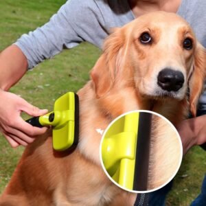 Brossage du chien avec une brosse ergonomique anti-poils morts, entretien du pelage et réduction de la perte de poils.