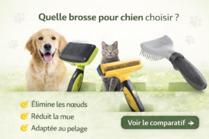 Comparatif de brosses pour chien adaptées à tous les types de pelage, idéales pour réduire la mue, éliminer les nœuds et entretenir le poil au quotidien.