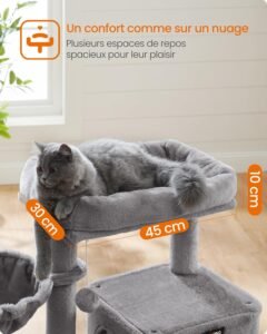 Chat adulte allongé sur la plateforme supérieure rembourrée d’un arbre à chat confortable