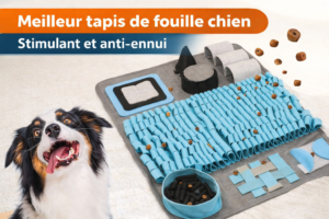 Tapis de fouille chien interactif bleu et gris avec friandises cachées, idéal pour stimuler l’odorat et réduire l’ennui chez le chien