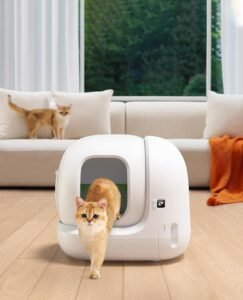 Litière automatique pour chat PETKIT Pura Max 2 utilisée par un chat dans un intérieur moderne, bac autonettoyant design et silencieux