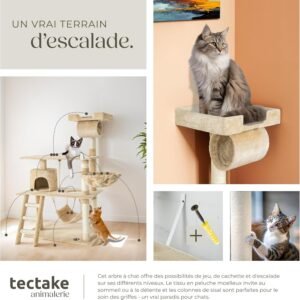Arbre à chat multi-niveaux avec cabane, hamac et plateformes, idéal pour grimper et se reposer