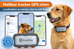 Tracker GPS chien avec localisation en temps réel, alertes anti-fugue et suivi d’activité via application mobile
