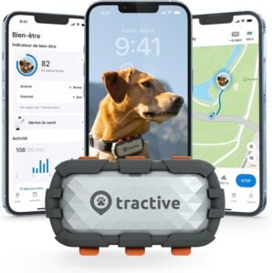 Tracker GPS chien XL Adventure avec application de suivi d’activité et localisation en direct