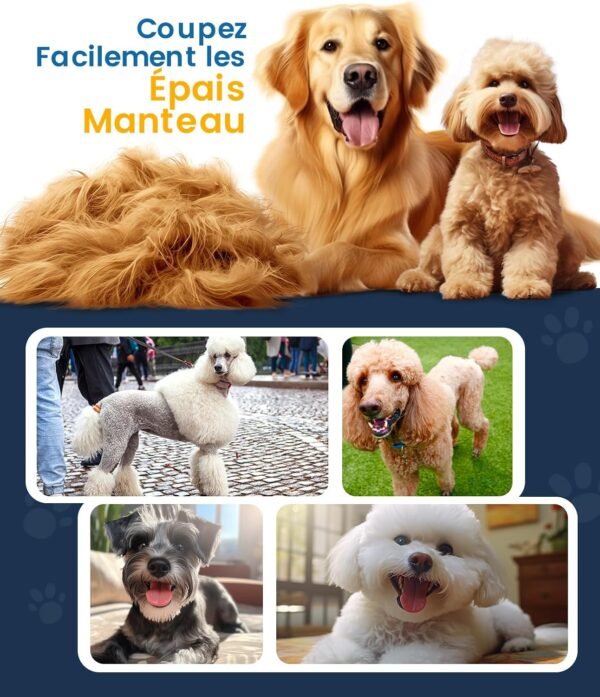 meilleure tondeuse pour chien oneisall