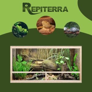 terrarium reptile en bois aménagé avec plantes naturelles adapté aux serpents, lézards et tortues