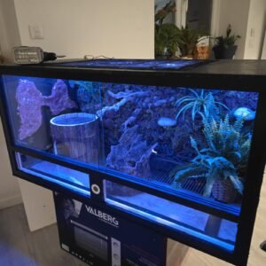 terrarium reptile en bois aménagé avec éclairage et décor naturel photo client content