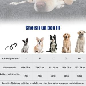 guide tailles panier pour chien selon poids et dimensions du couchage