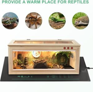 Grandient thermique terrarium. Tapis chauffant pour terrarium avec système de régulation thermique, installé sous un terrarium en bois pour reptiles (tortue, lézard, serpent), permettant de créer une zone chaude adaptée.