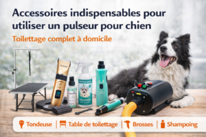 accessoires pulseur chien