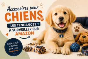 Accessoires pour Chiens
