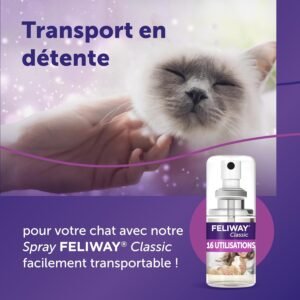 spray phéromones chat utilisé pour apaiser un chat stressé pendant le transport