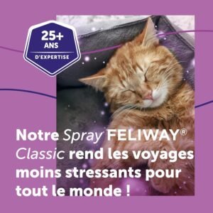 spray phéromones chat FELIWAY Classic avec 25 ans d’expertise pour apaiser un chat stressé