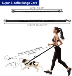 laisse canicross avec amortisseur extensible 160 à 220 cm utilisée pour courir avec son chien en toute liberté