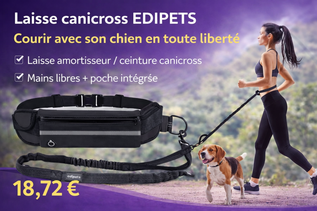 laisse canicross EDIPETS avec ceinture canicross et amortisseur, utilisée pour courir avec son chien en toute liberté et sécurité