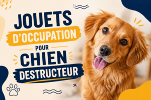 Jouets d'Occupation pour Chien Destructeur