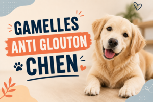 Gamelles Anti Glouton Chien