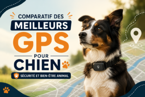 GPS pour Chien