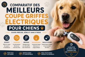 Coupe Griffes Électriques pour Chiens