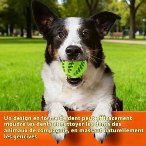 balle pour chien