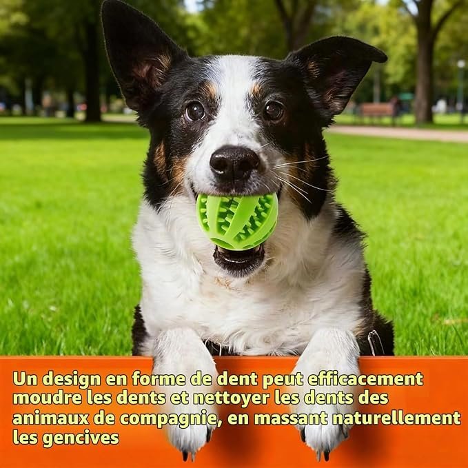 balle pour chien