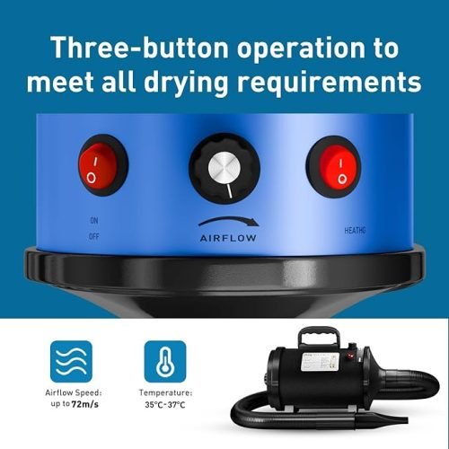 blanlody meilleur pulseur chien